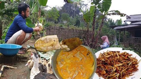  ¿La leyenda del ikan teri? Un viaje al corazón de la sabiduría malaya!