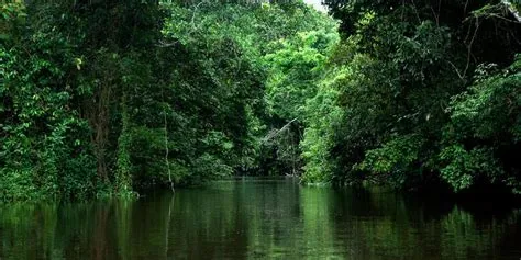  ¿El Hombre del Agua - Un Relato Mágico de la Amazonia Brasileña?